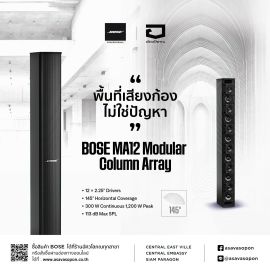 Bose Professional Panaray MA12